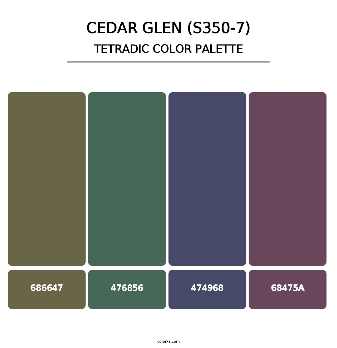 Cedar Glen (S350-7) - Tetradic Color Palette
