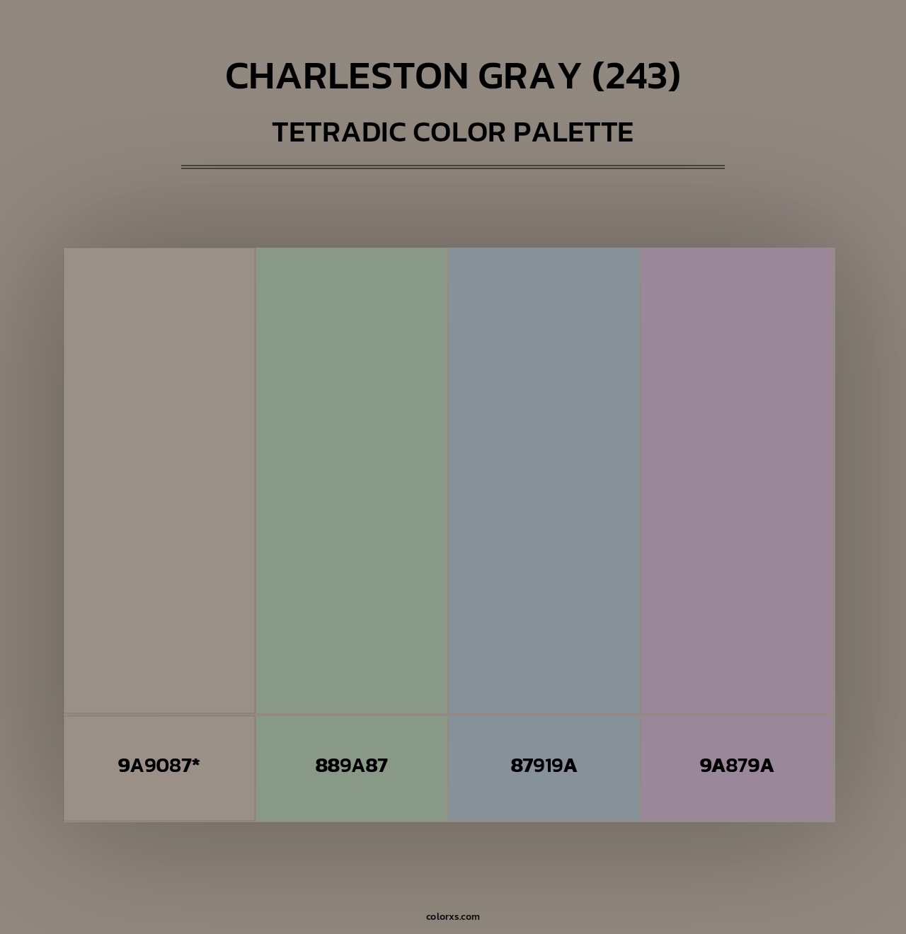 Charleston Gray (243) - Tetradic Color Palette