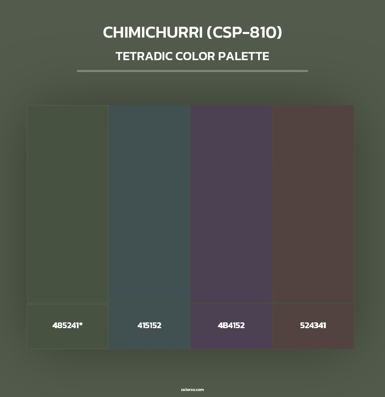 Chimichurri (CSP-810) - Tetradic Color Palette