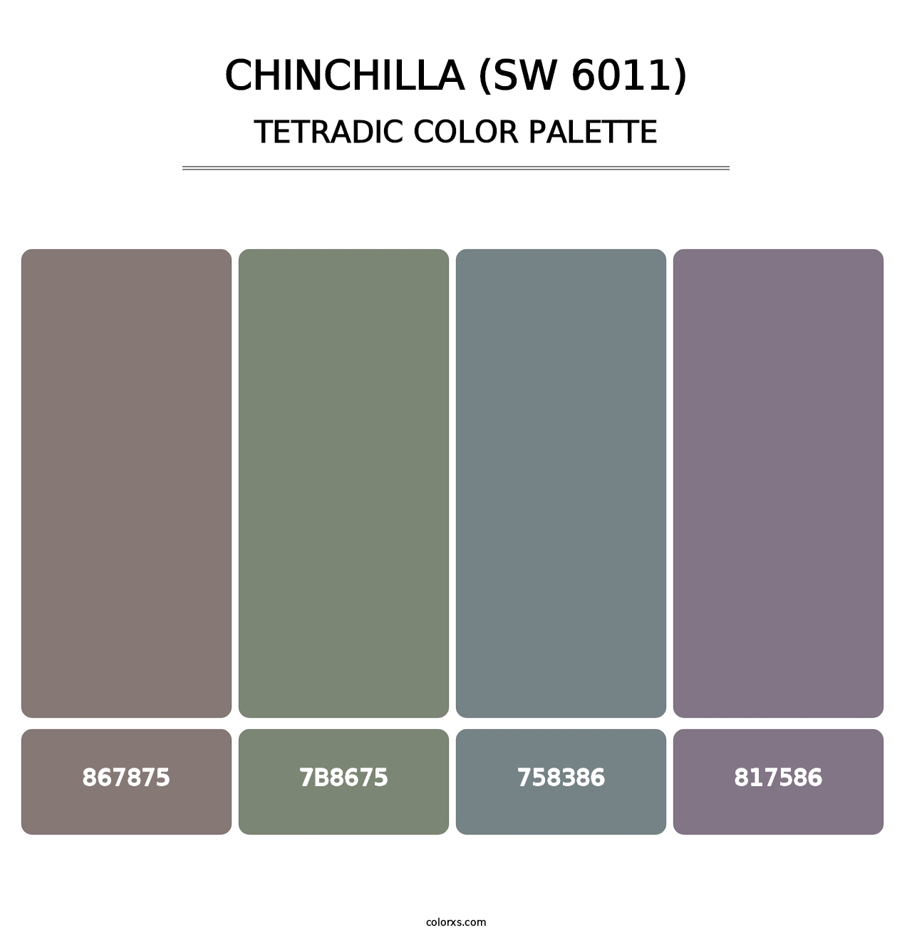 Chinchilla (SW 6011) - Tetradic Color Palette