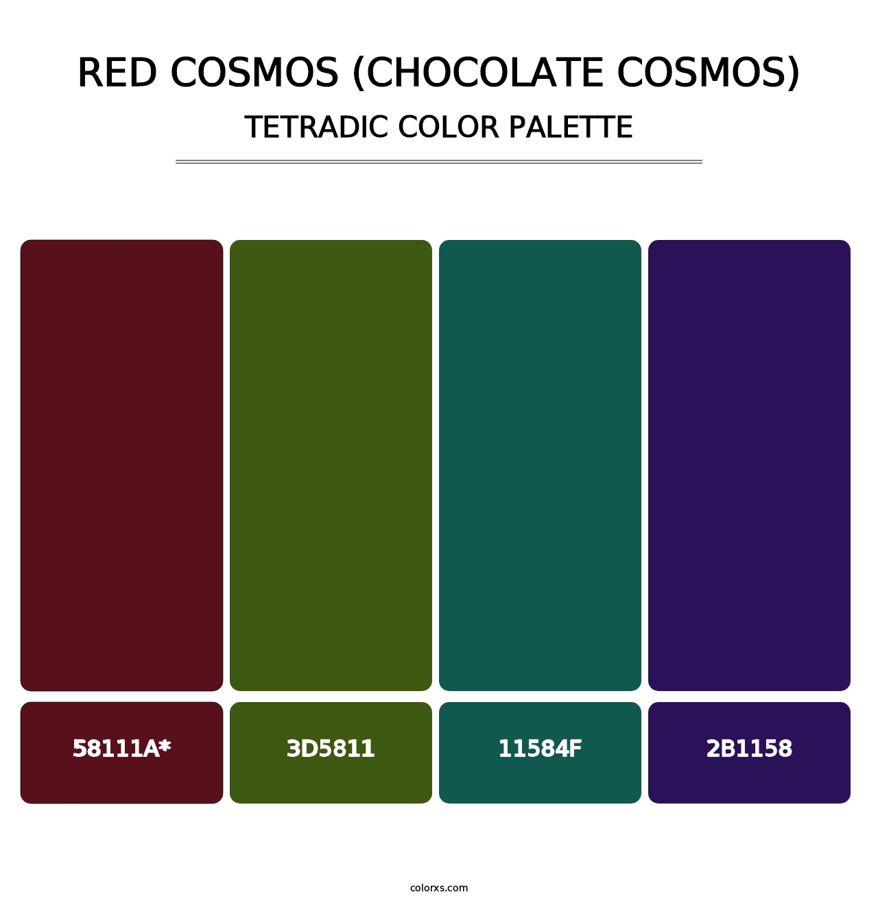 Red Cosmos (Chocolate Cosmos) - Tetradic Color Palette