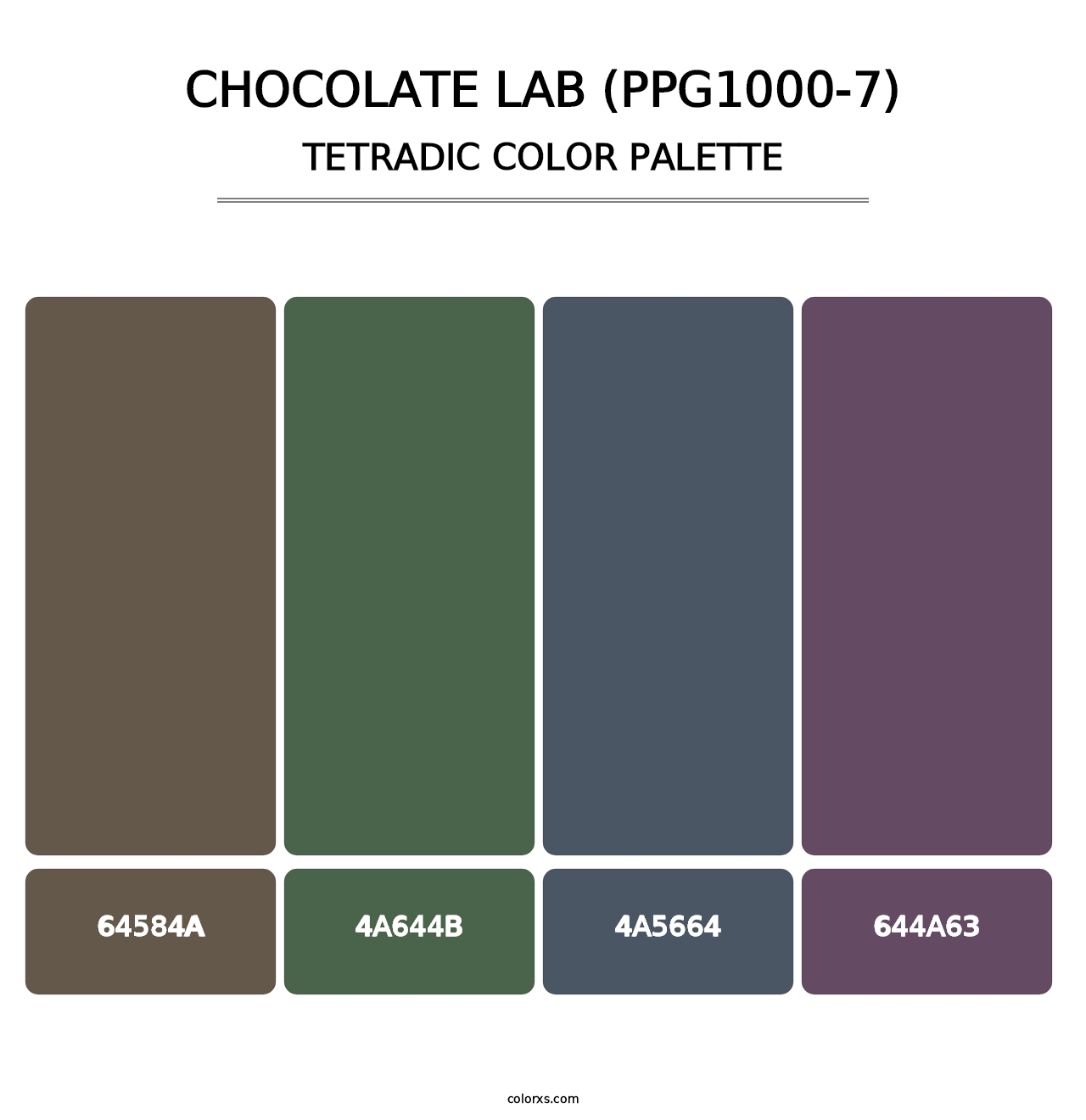 Chocolate Lab (PPG1000-7) - Tetradic Color Palette