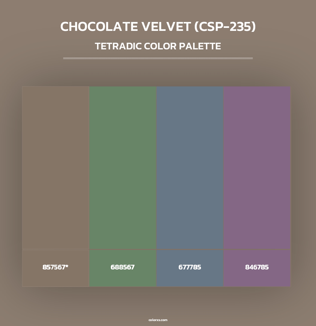 Chocolate Velvet (CSP-235) - Tetradic Color Palette