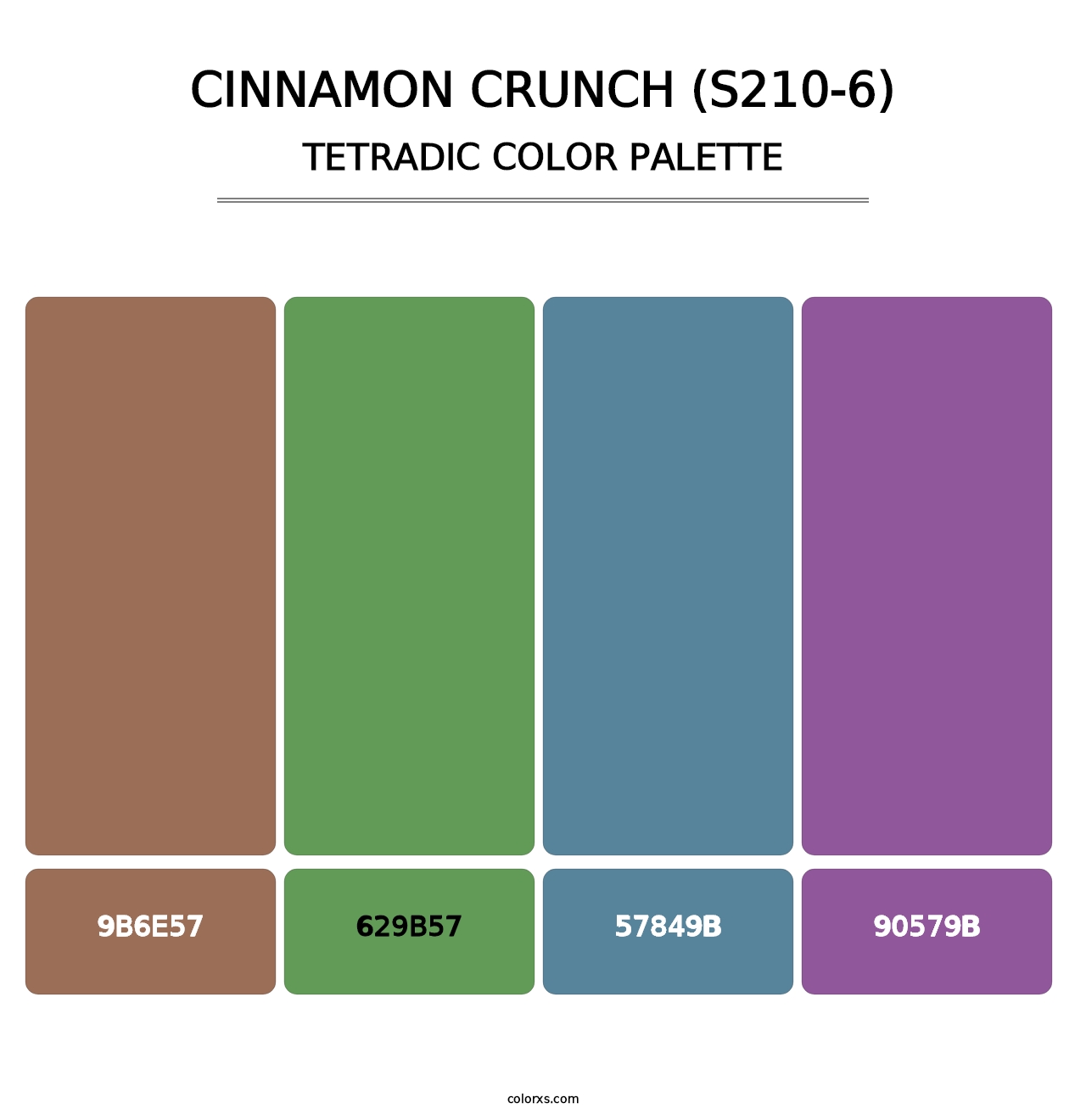 Cinnamon Crunch (S210-6) - Tetradic Color Palette