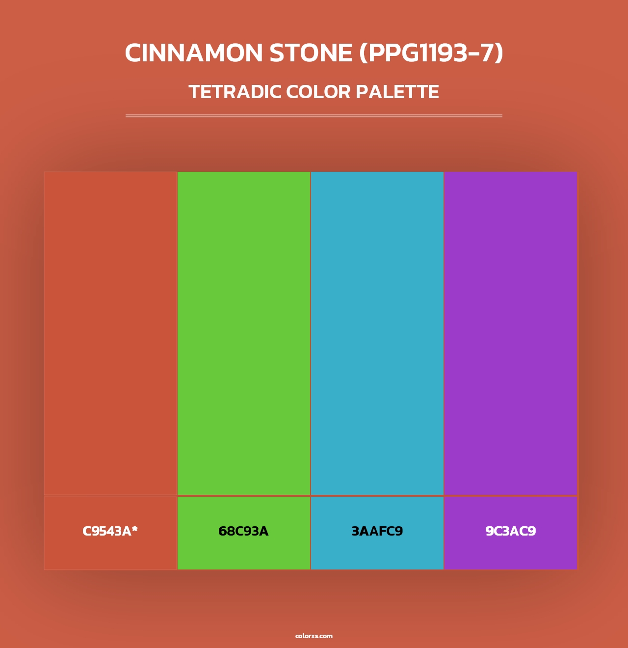 Cinnamon Stone (PPG1193-7) - Tetradic Color Palette