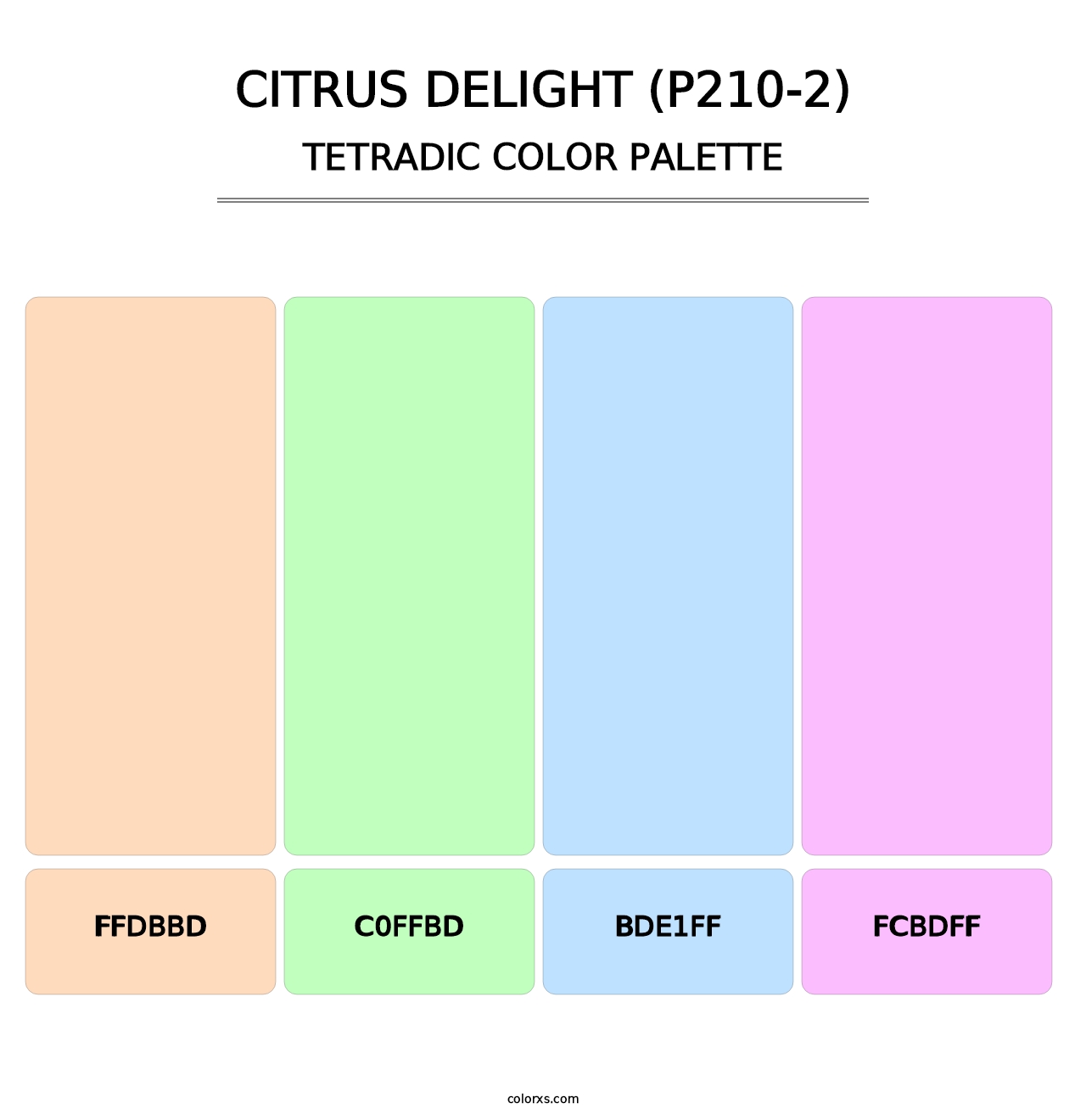 Citrus Delight (P210-2) - Tetradic Color Palette
