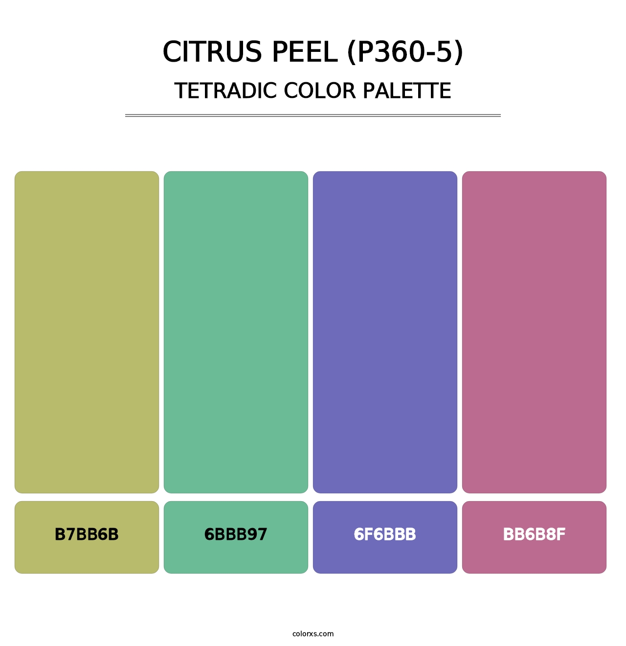 Citrus Peel (P360-5) - Tetradic Color Palette