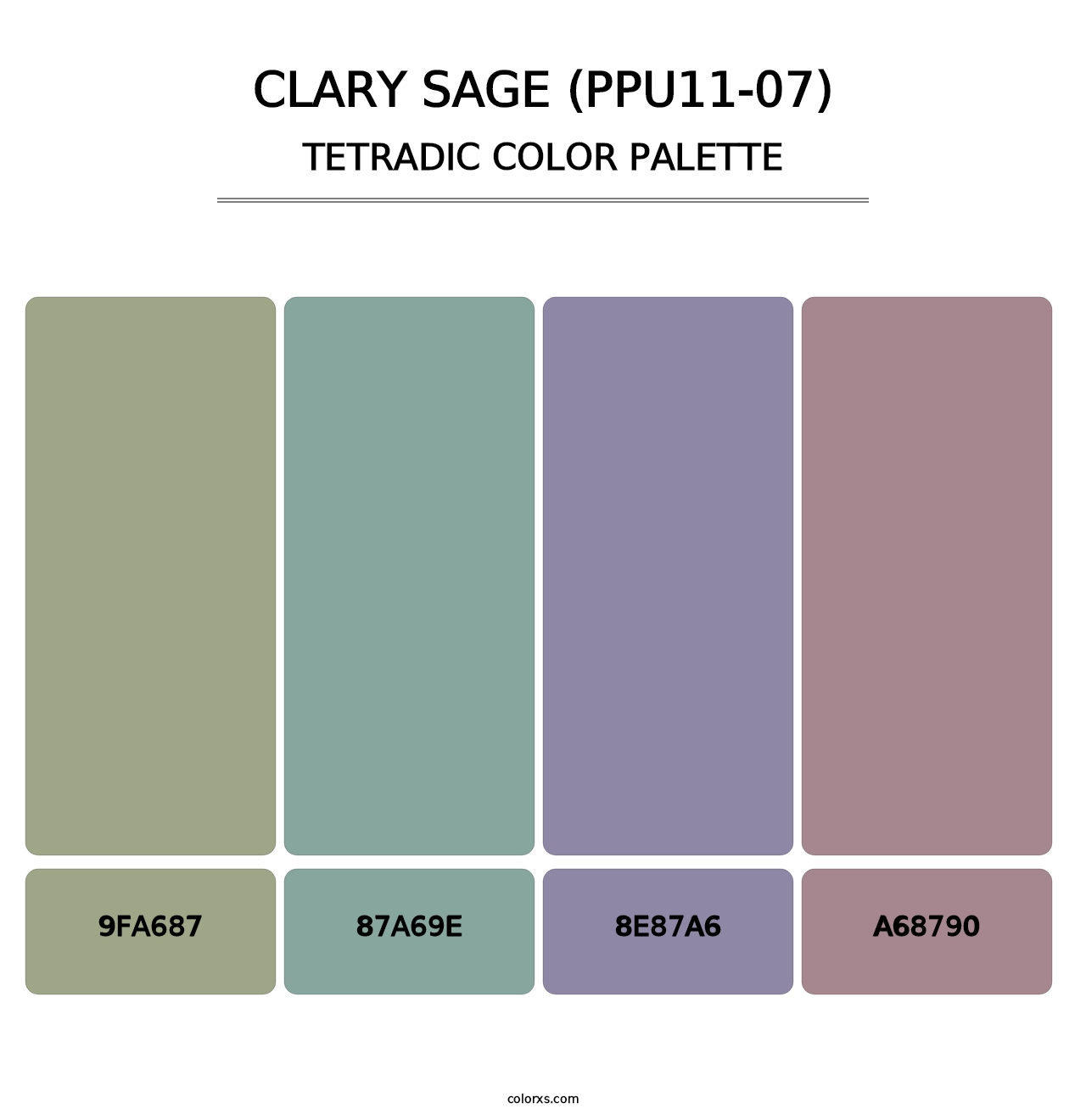 Clary Sage (PPU11-07) - Tetradic Color Palette