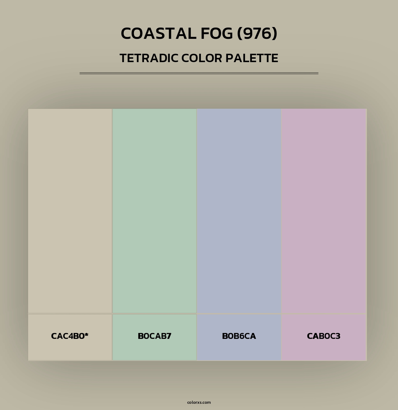 Coastal Fog (976) - Tetradic Color Palette