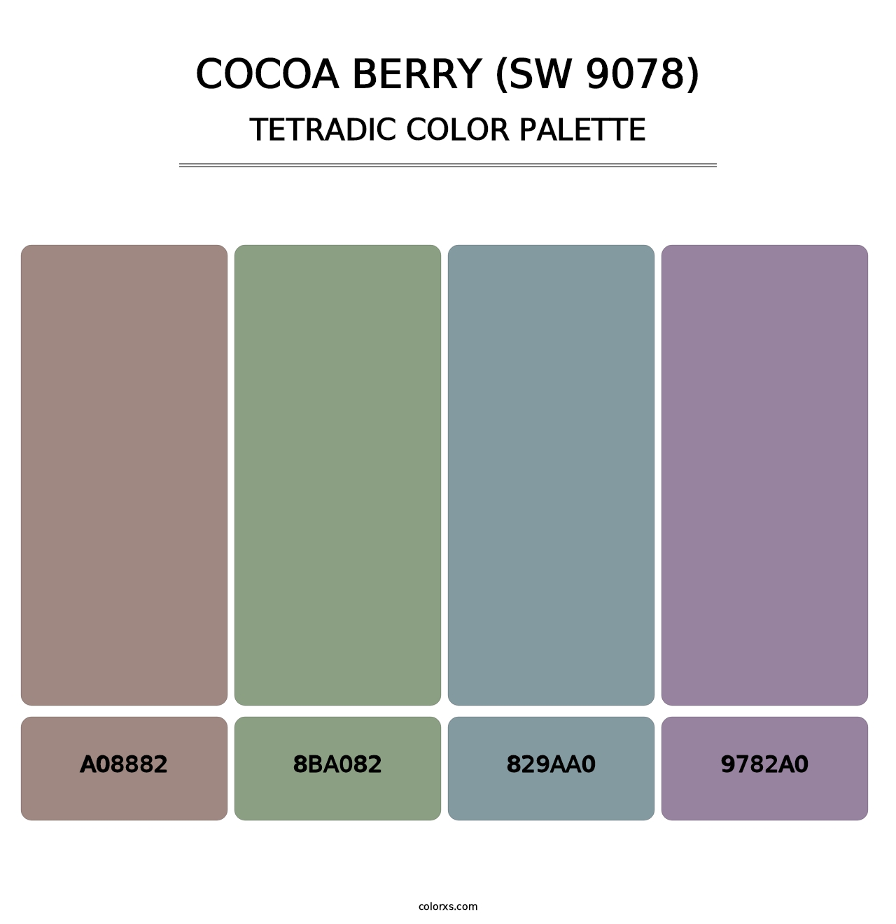 Cocoa Berry (SW 9078) - Tetradic Color Palette