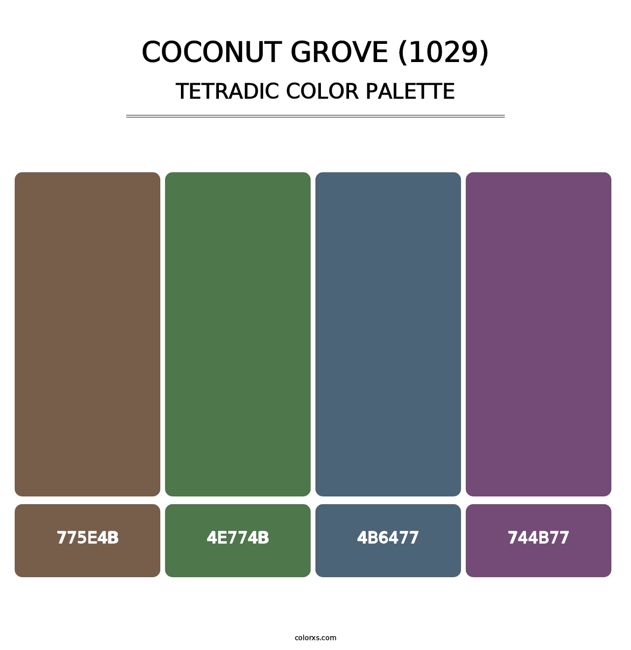 Coconut Grove (1029) - Tetradic Color Palette