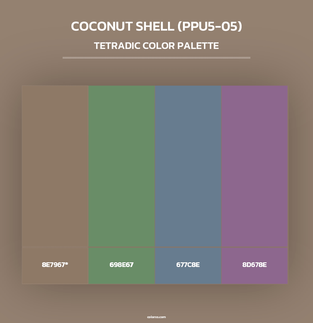 Coconut Shell (PPU5-05) - Tetradic Color Palette