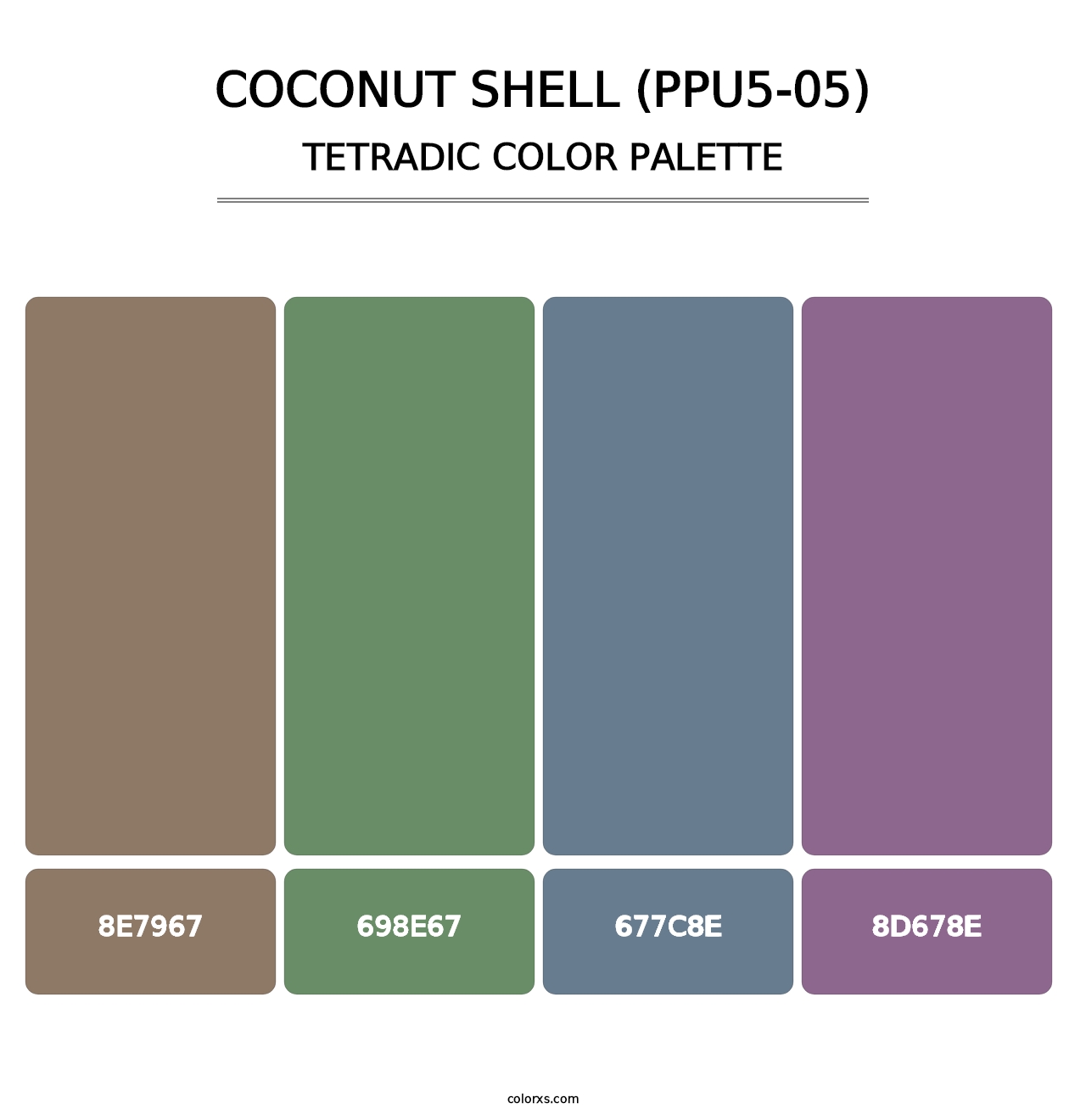 Coconut Shell (PPU5-05) - Tetradic Color Palette