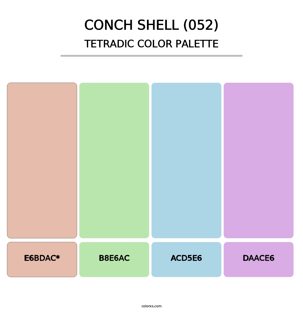 Conch Shell (052) - Tetradic Color Palette