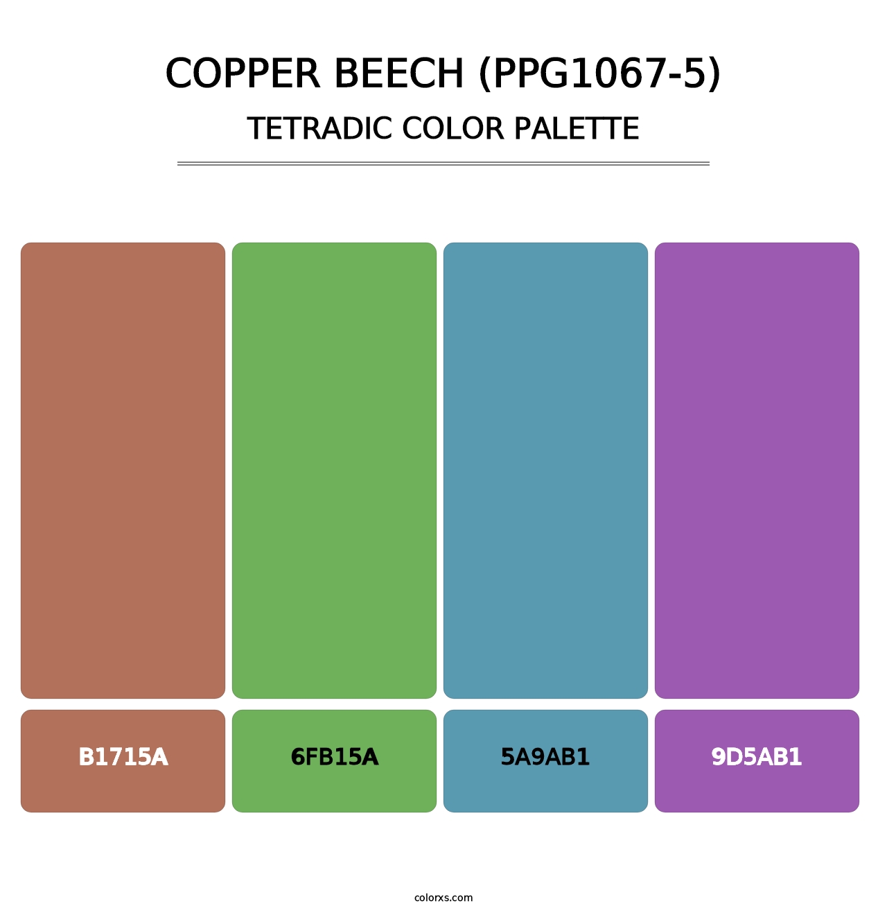 Copper Beech (PPG1067-5) - Tetradic Color Palette