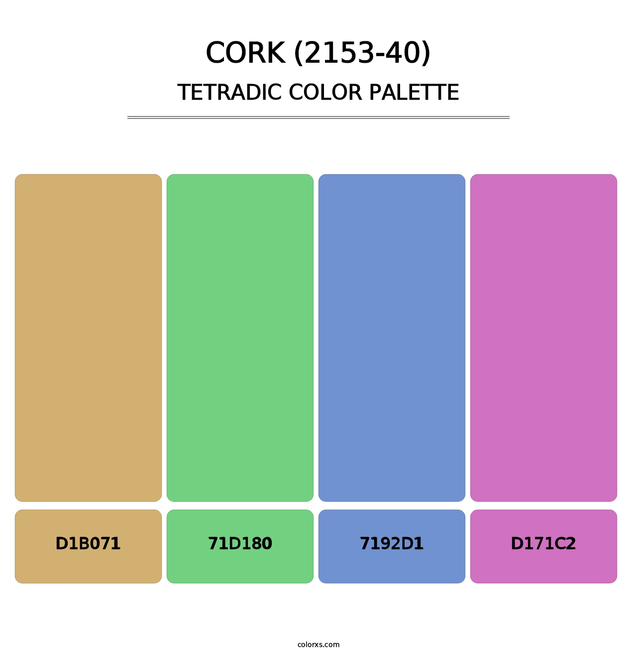 Cork (2153-40) - Tetradic Color Palette
