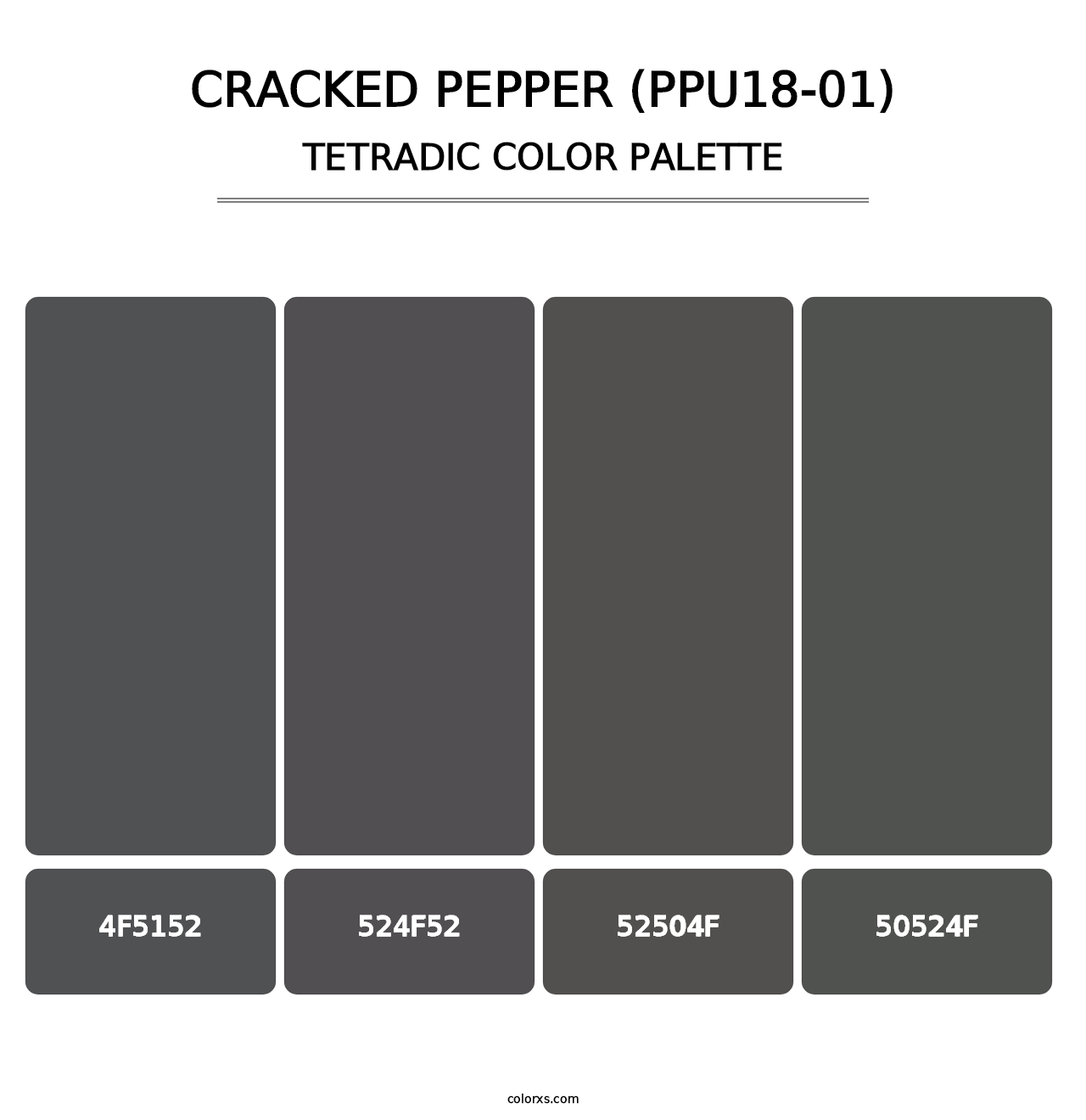 Cracked Pepper (PPU18-01) - Tetradic Color Palette