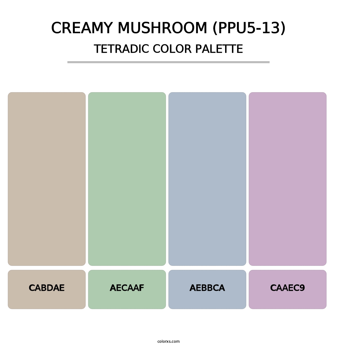Creamy Mushroom (PPU5-13) - Tetradic Color Palette