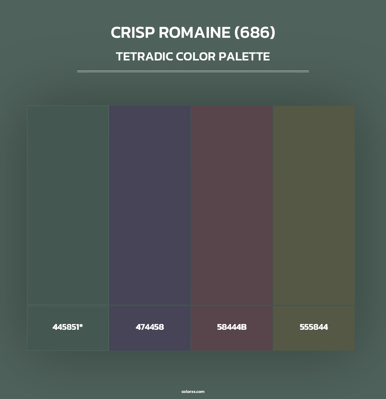 Crisp Romaine (686) - Tetradic Color Palette