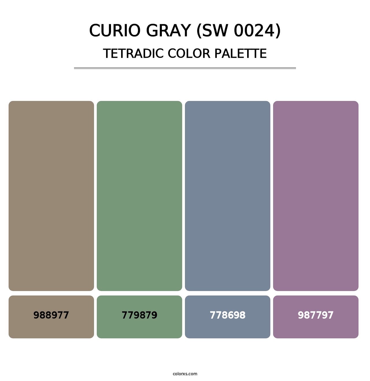 Curio Gray (SW 0024) - Tetradic Color Palette