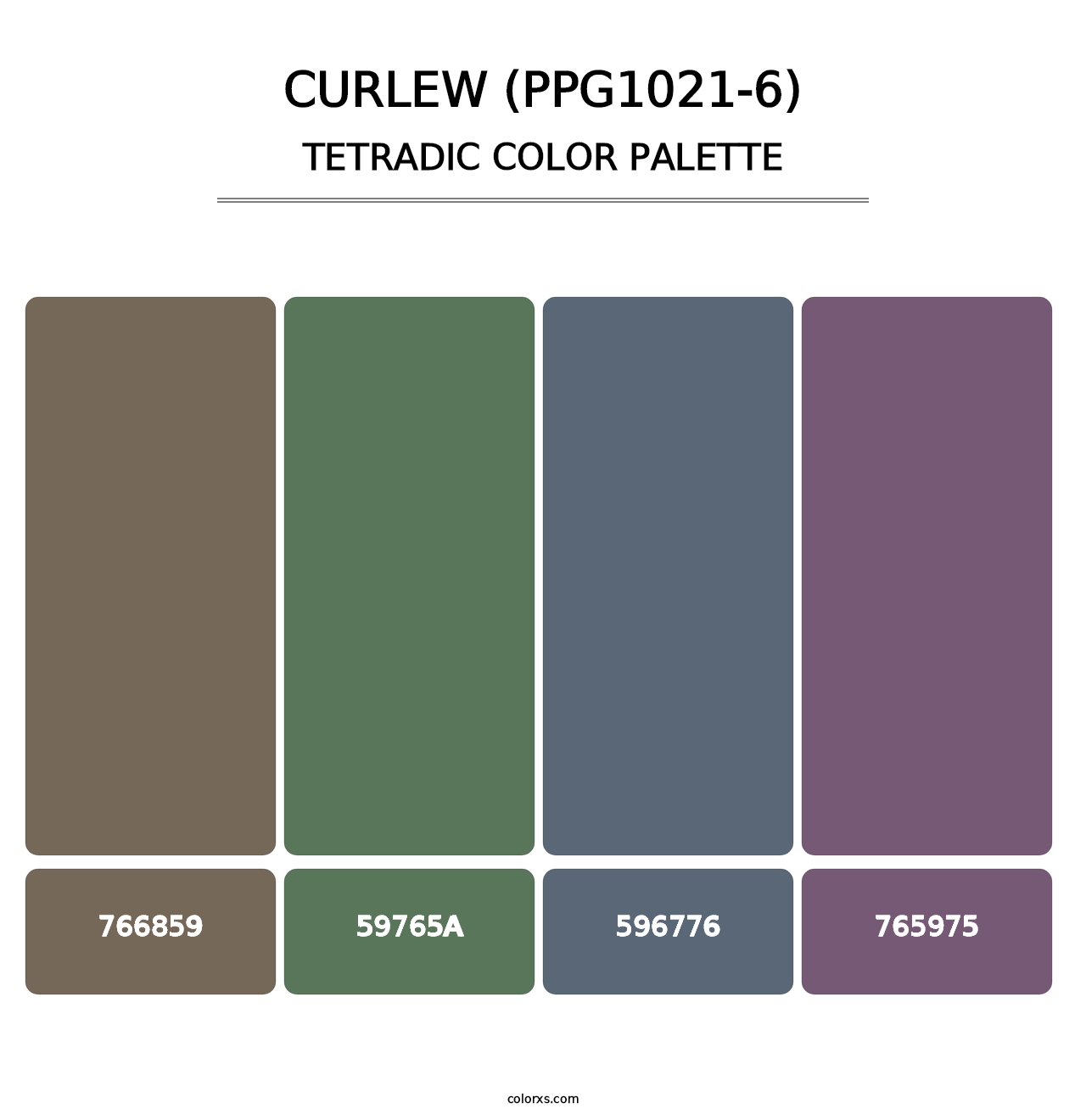 Curlew (PPG1021-6) - Tetradic Color Palette