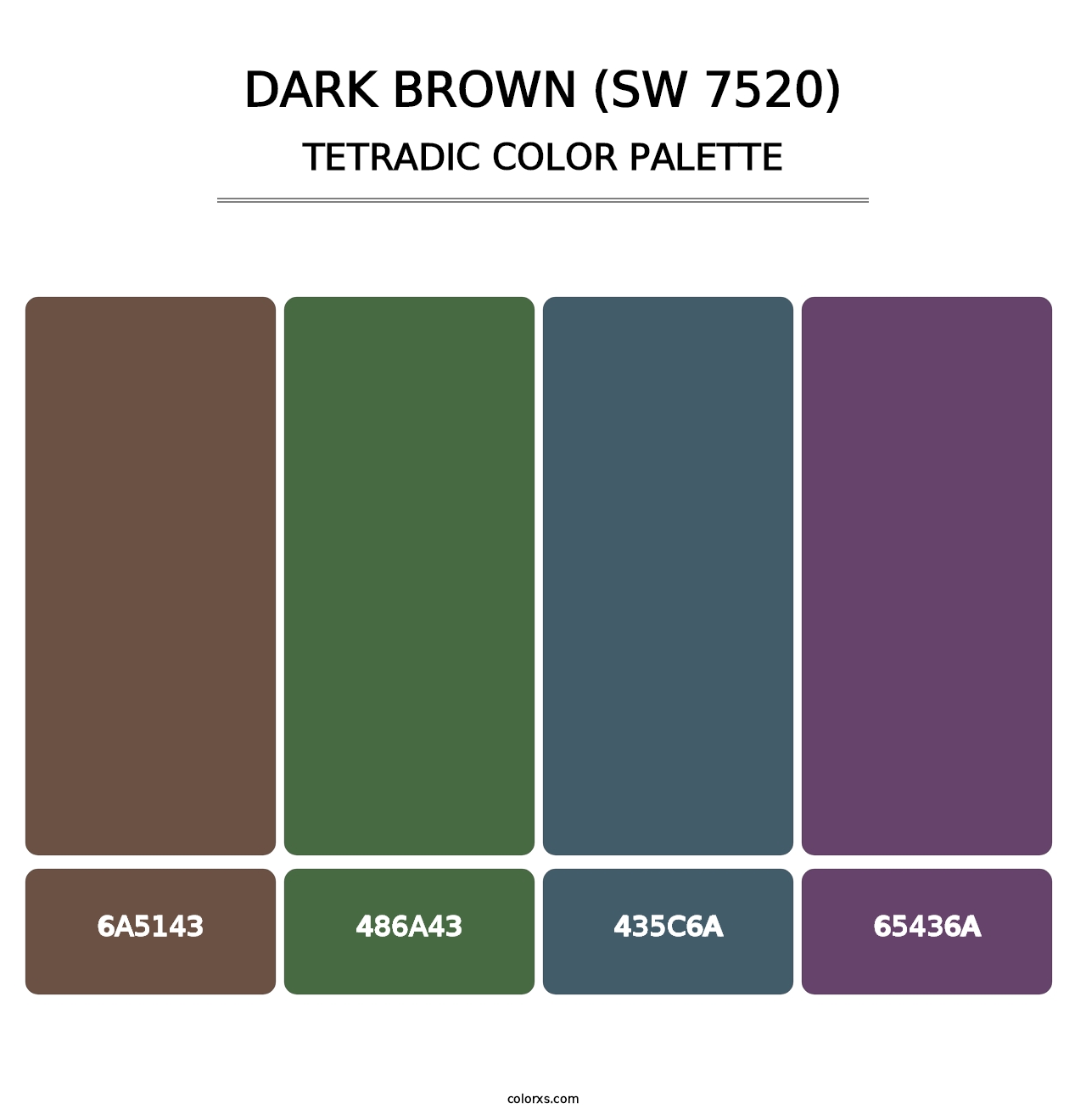 Dark Brown (SW 7520) - Tetradic Color Palette