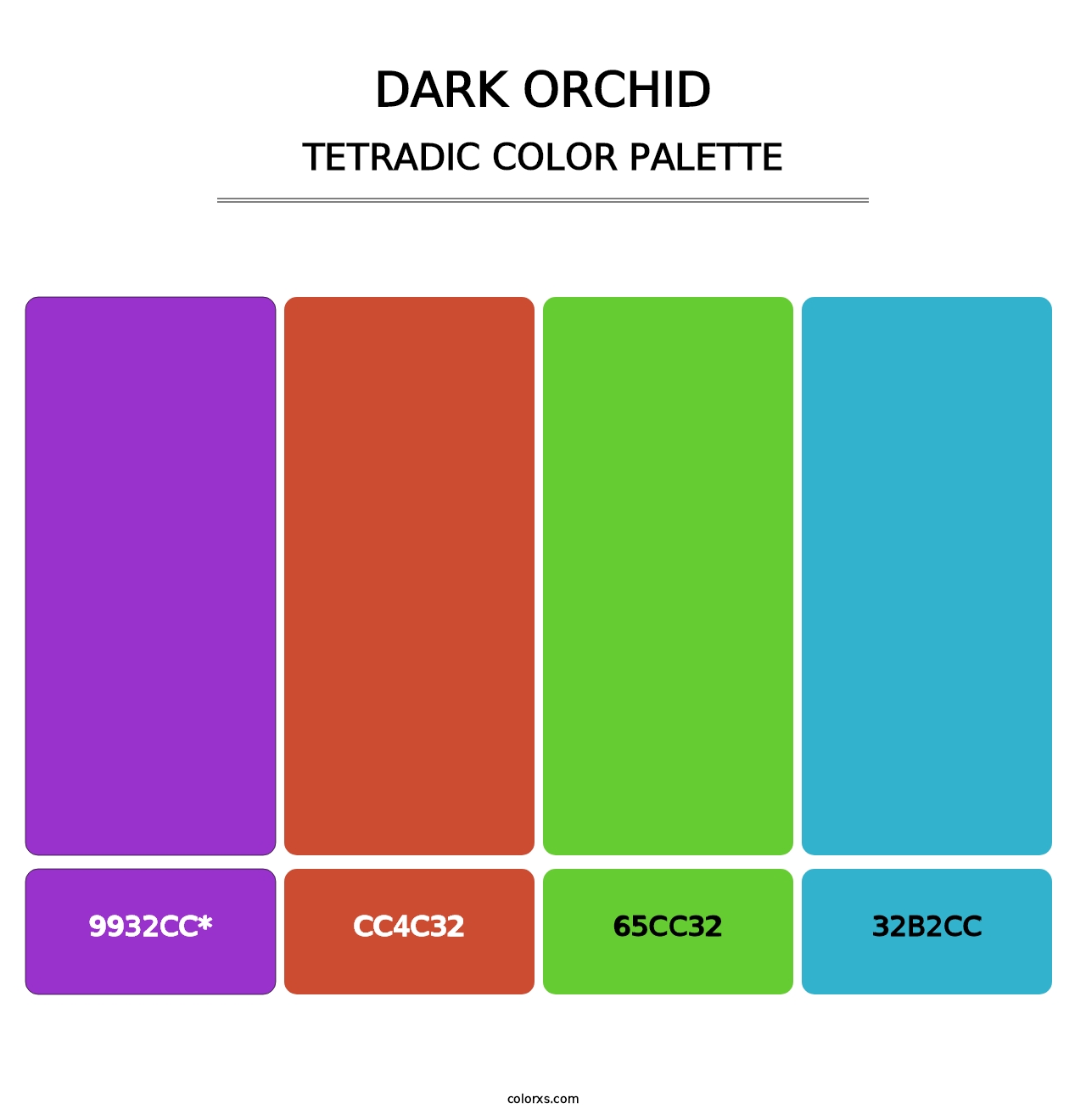 Dark Orchid - Tetradic Color Palette