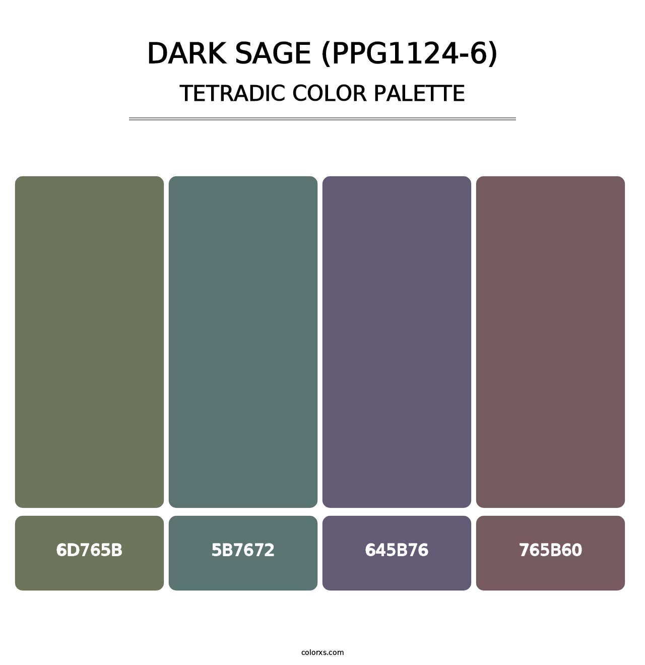 Dark Sage (PPG1124-6) - Tetradic Color Palette