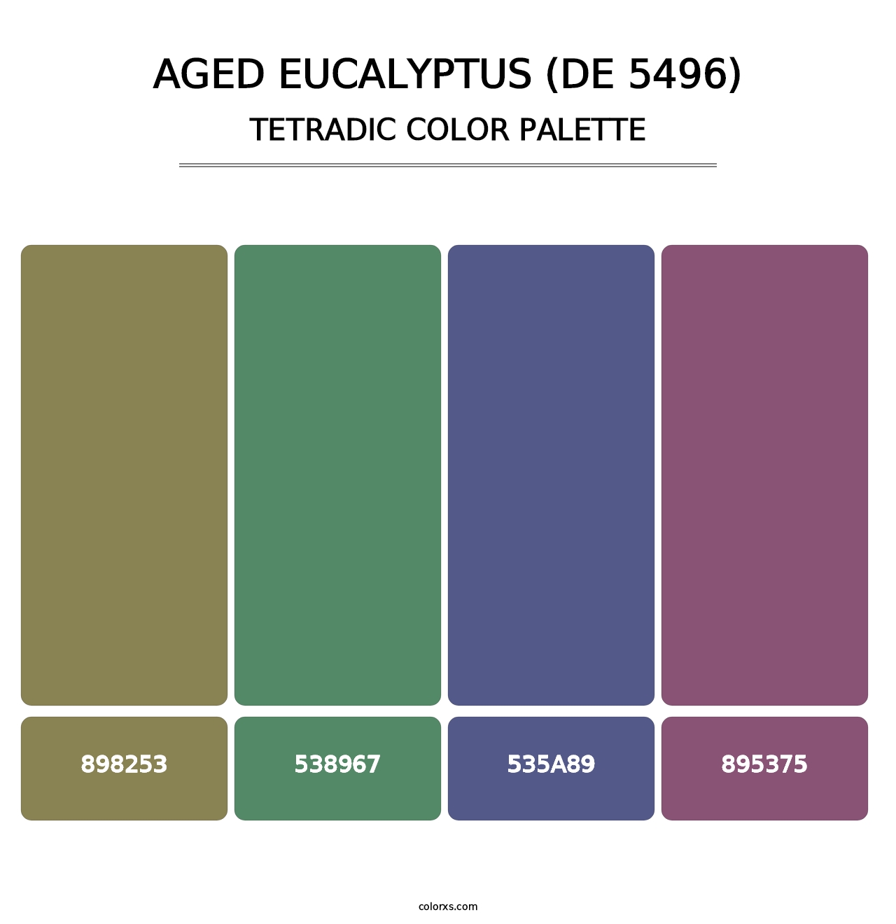 Aged Eucalyptus (DE 5496) - Tetradic Color Palette