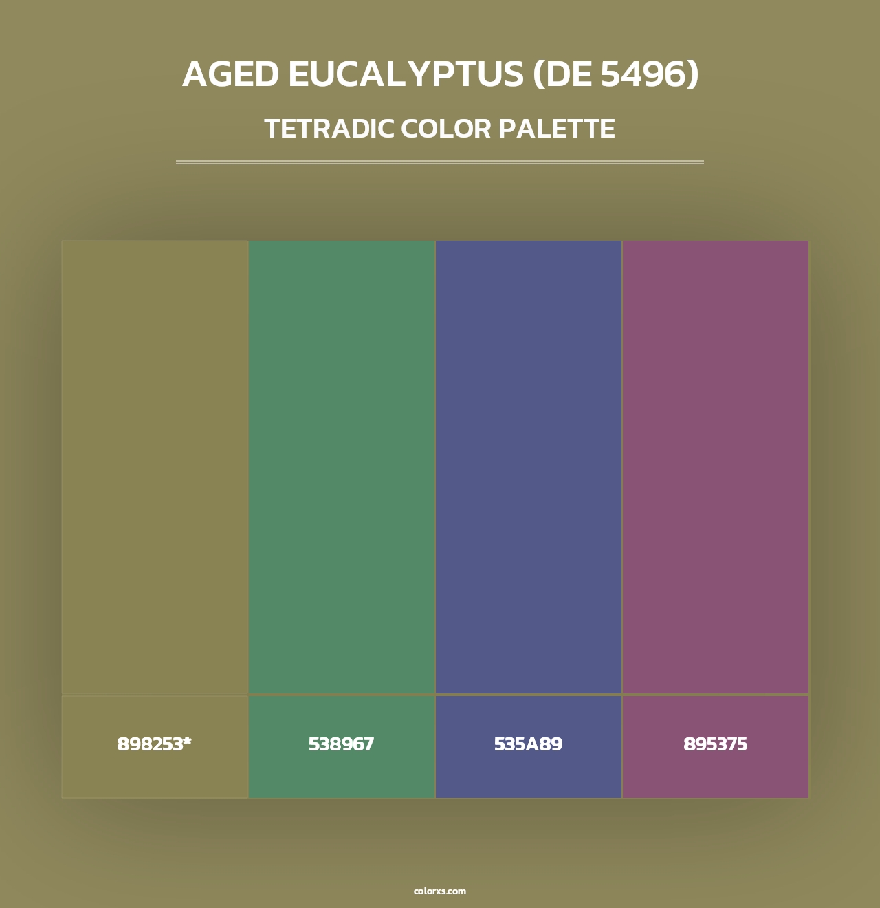 Aged Eucalyptus (DE 5496) - Tetradic Color Palette
