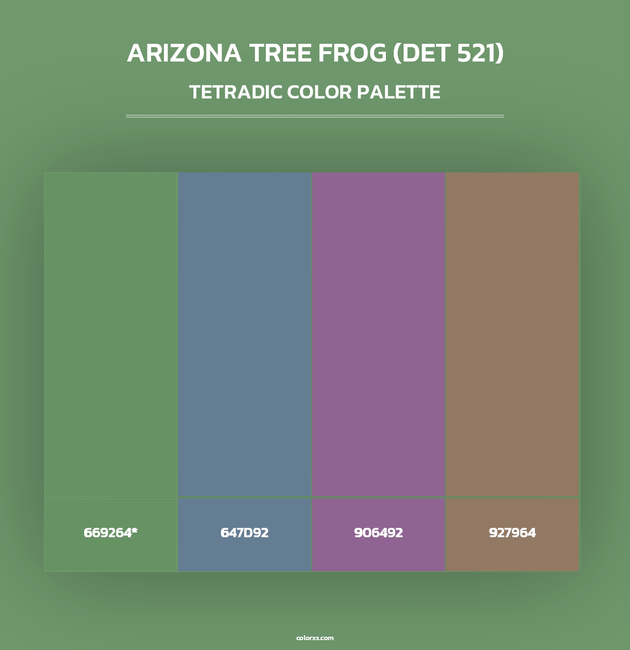 Arizona Tree Frog (DET 521) - Tetradic Color Palette