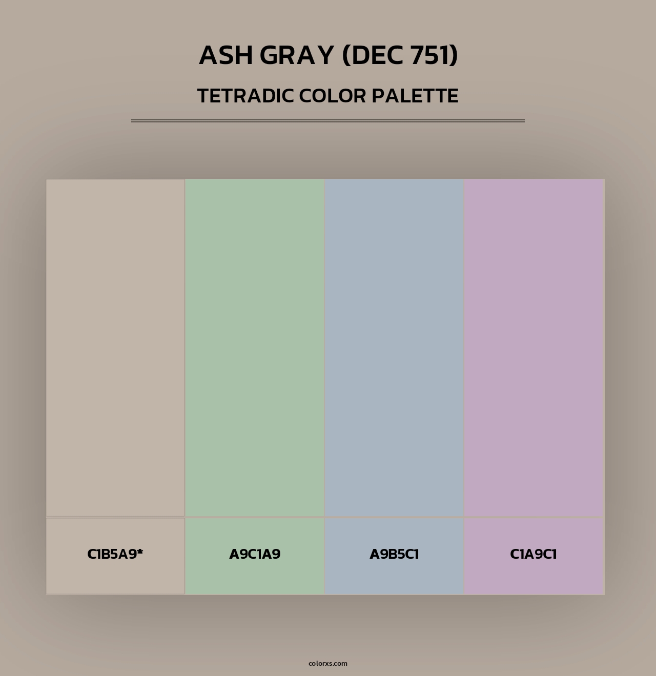 Ash Gray (DEC 751) - Tetradic Color Palette