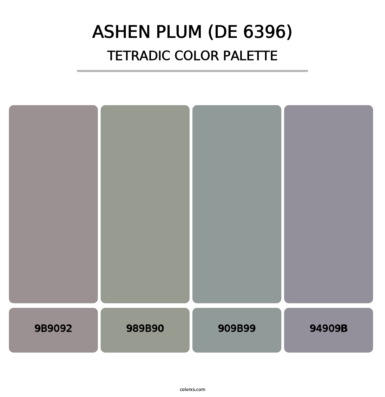 Ashen Plum (DE 6396) - Tetradic Color Palette