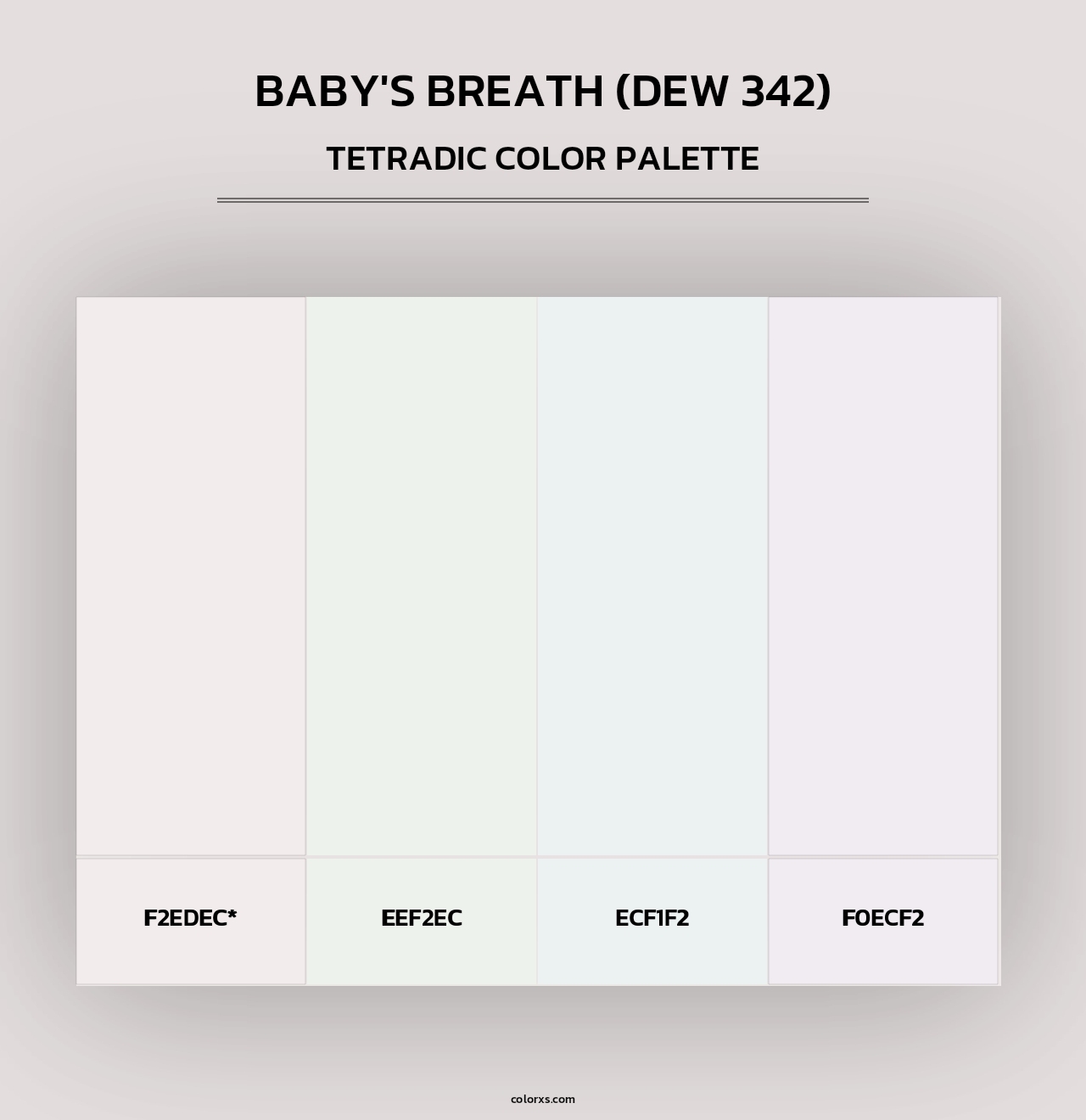 Baby's Breath (DEW 342) - Tetradic Color Palette