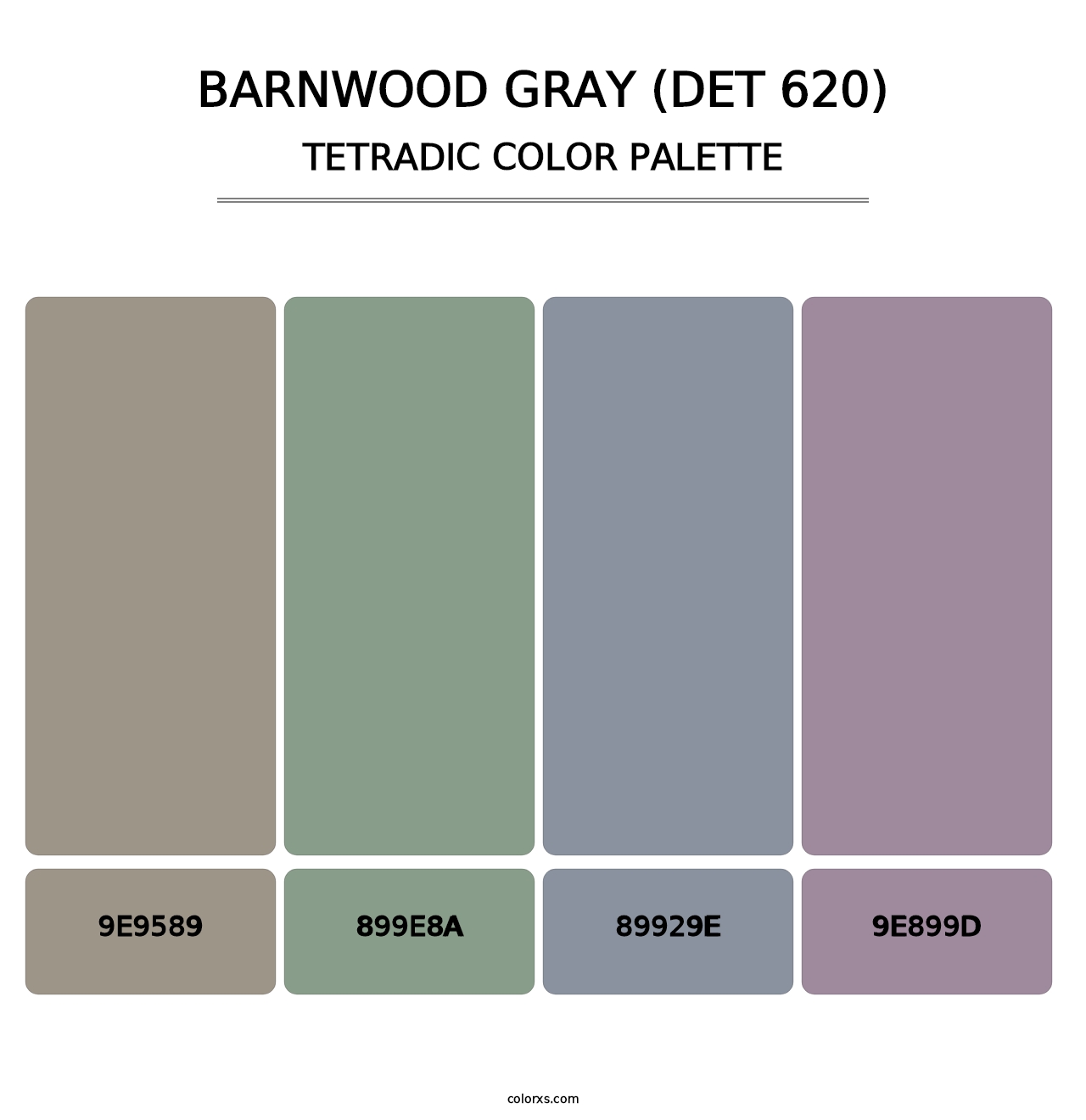 Barnwood Gray (DET 620) - Tetradic Color Palette