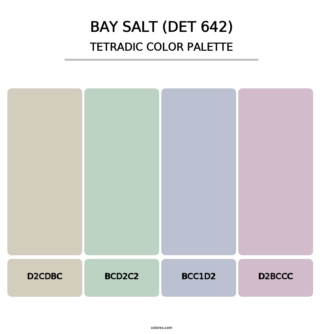 Bay Salt (DET 642) - Tetradic Color Palette