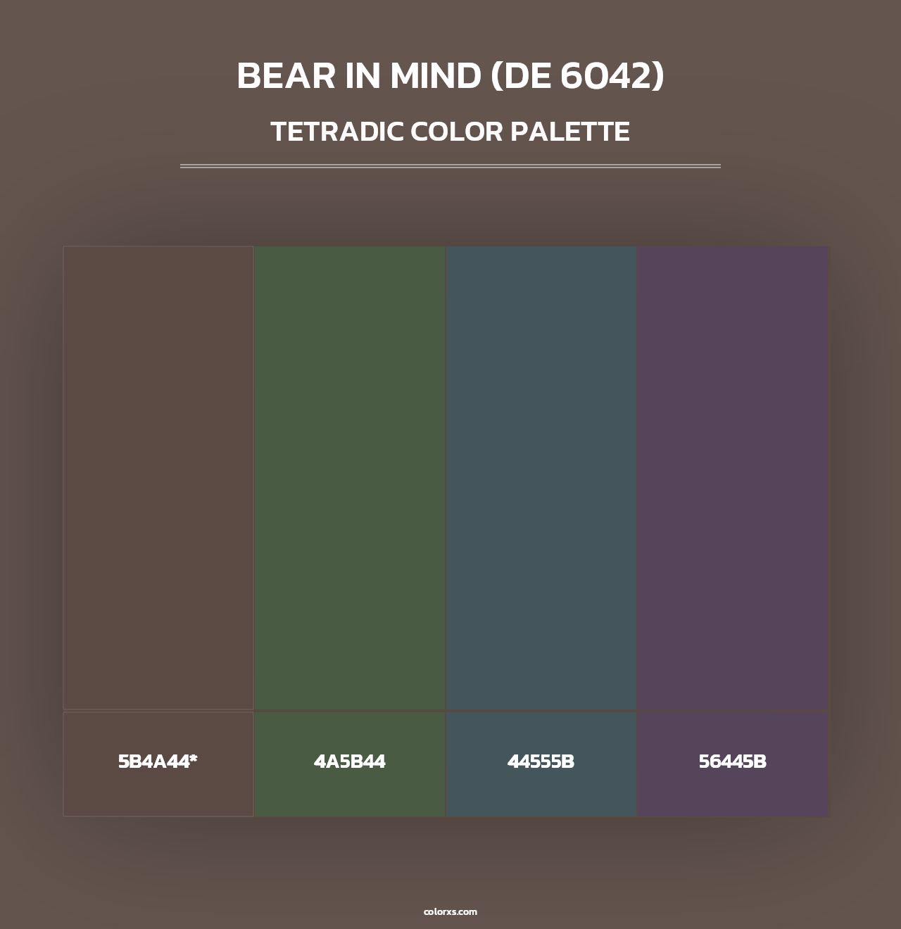 Bear in Mind (DE 6042) - Tetradic Color Palette