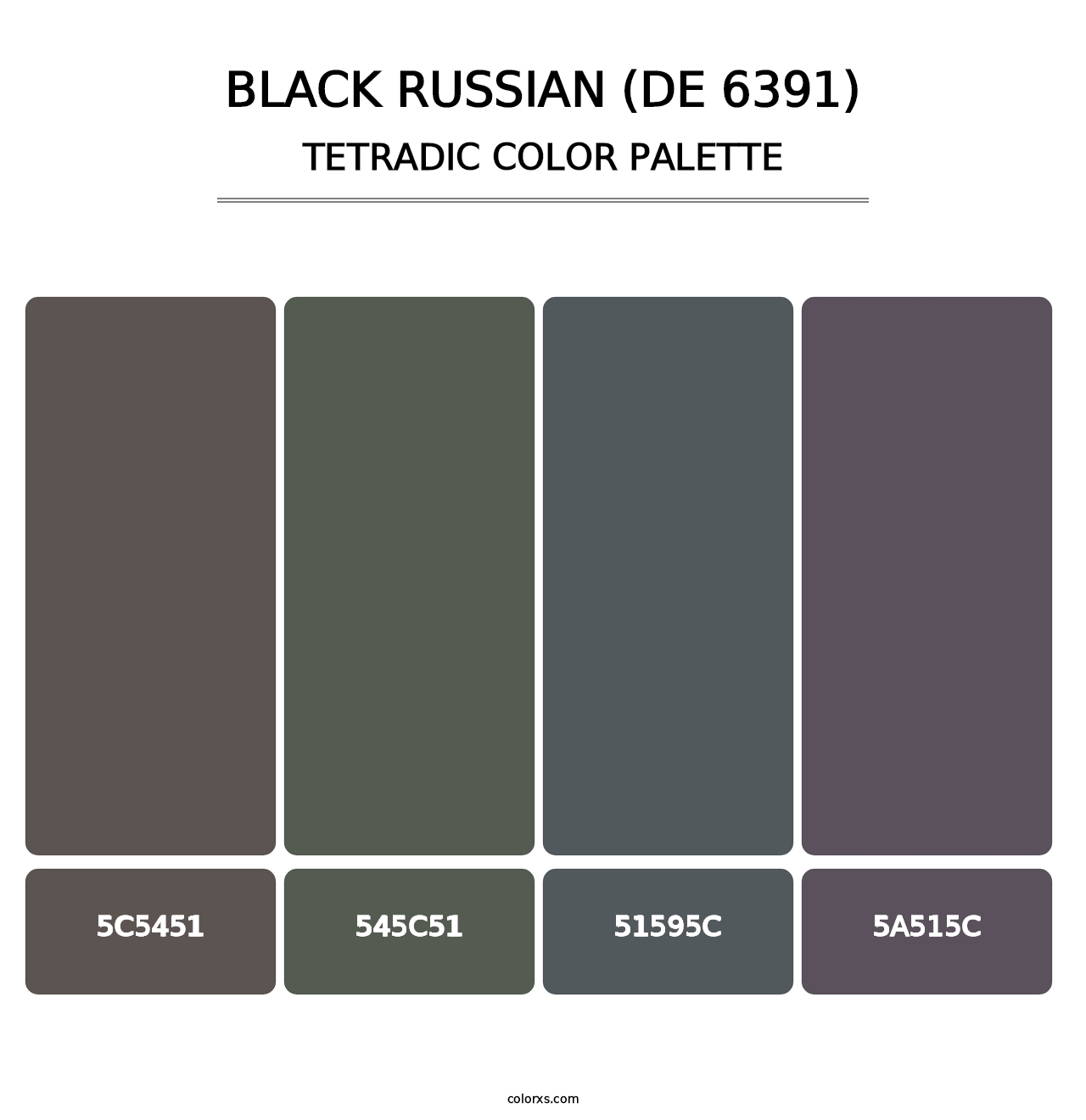 Black Russian (DE 6391) - Tetradic Color Palette