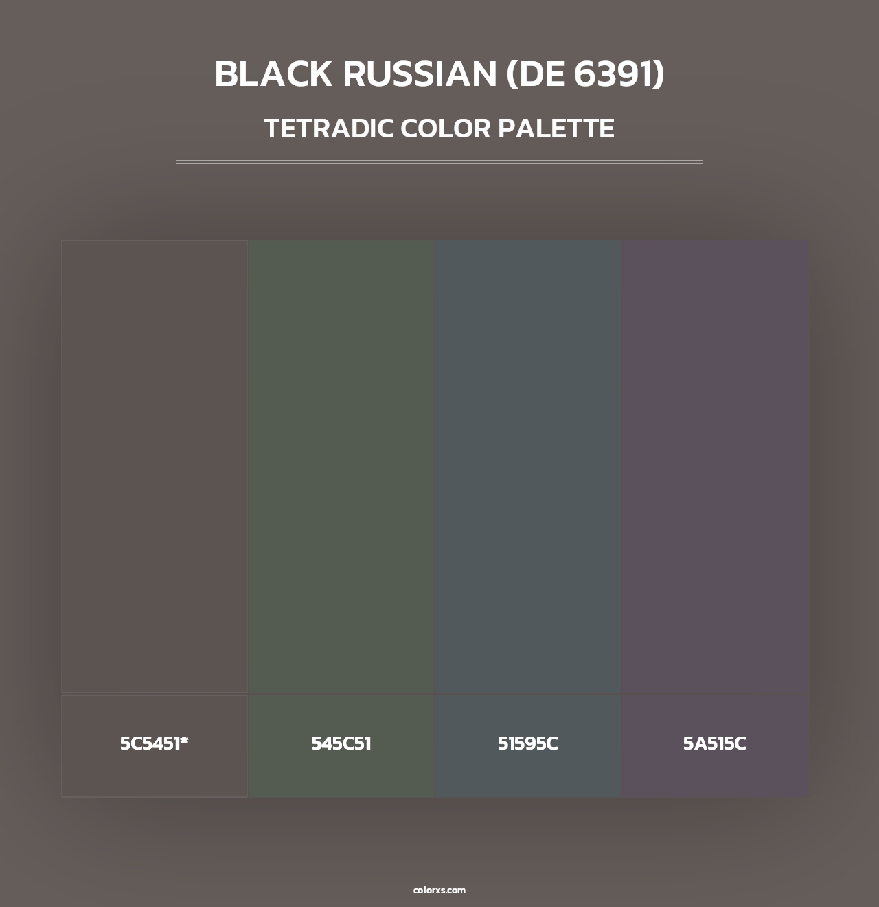 Black Russian (DE 6391) - Tetradic Color Palette