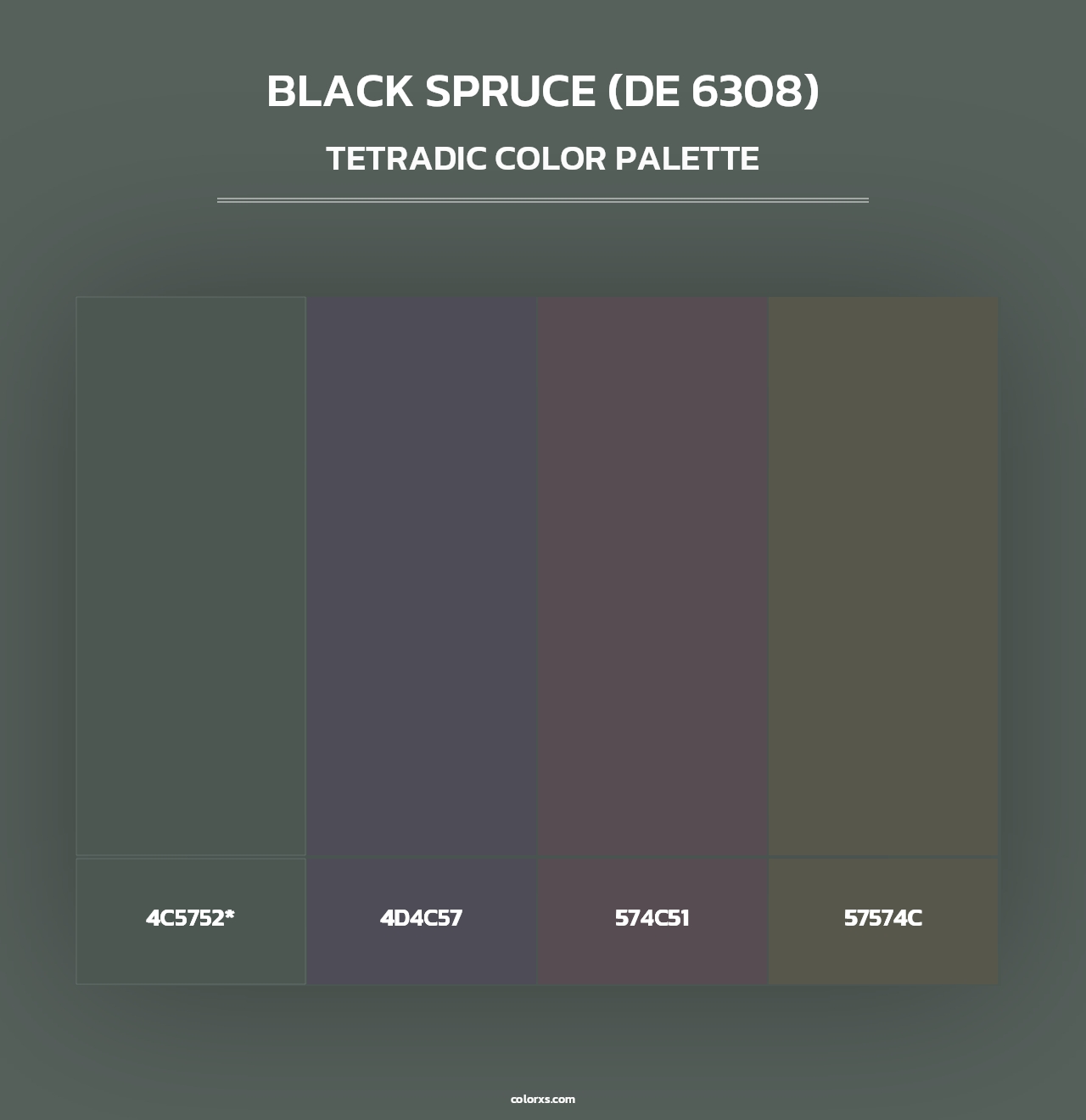 Black Spruce (DE 6308) - Tetradic Color Palette