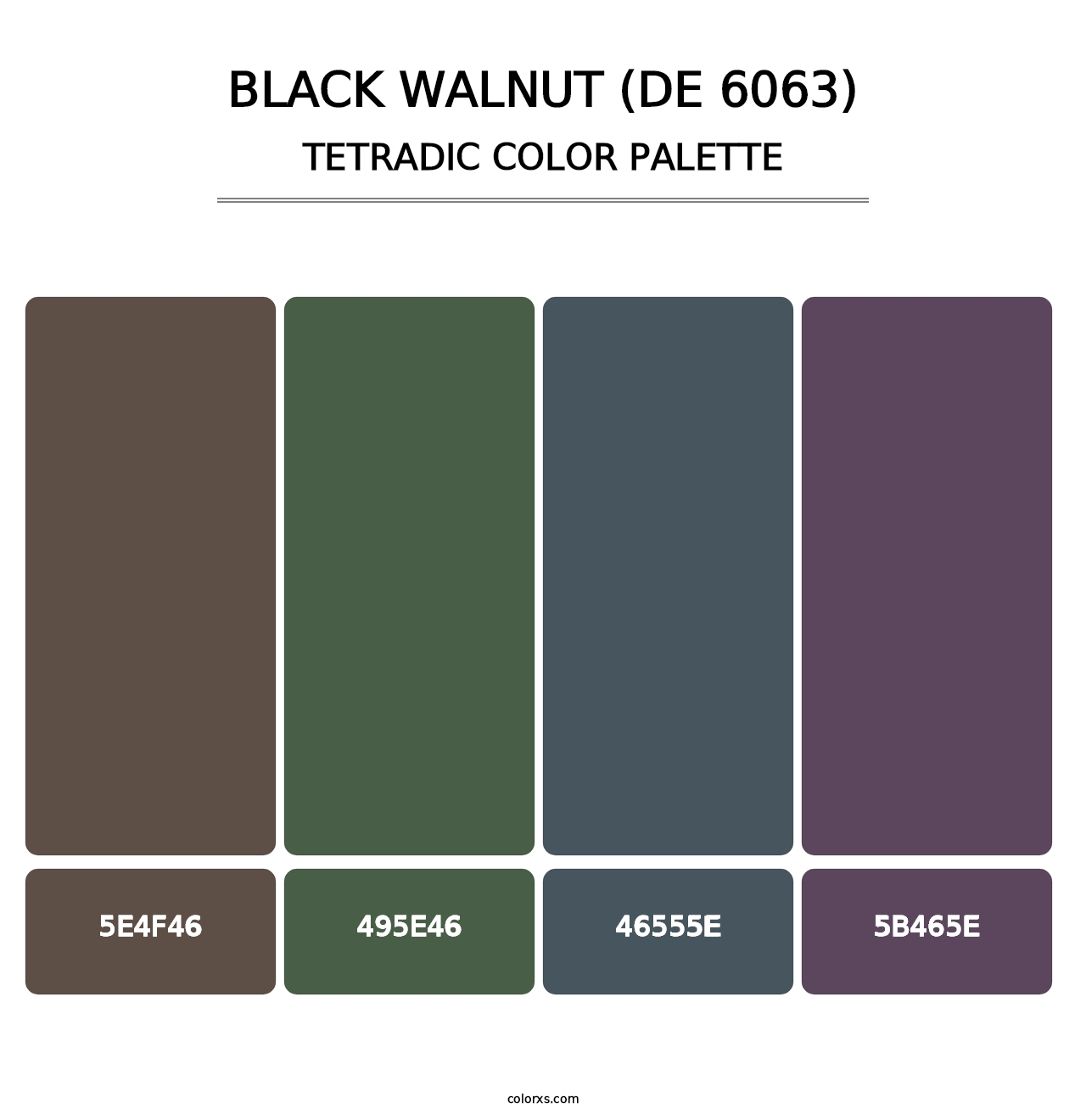 Black Walnut (DE 6063) - Tetradic Color Palette