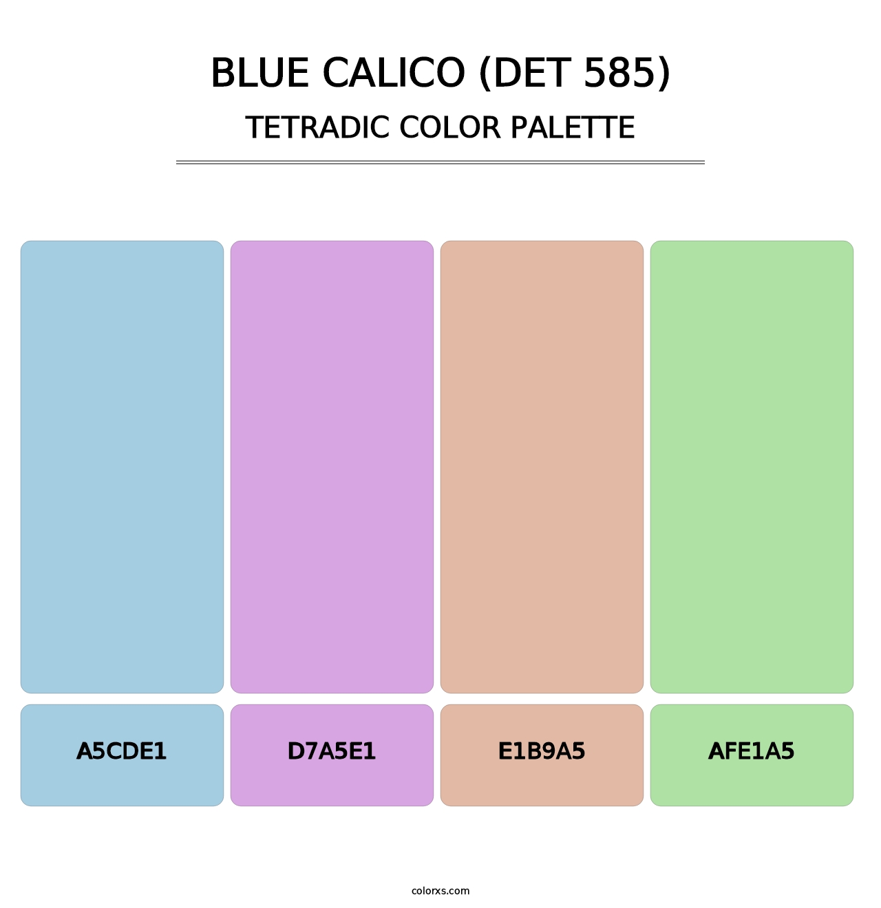 Blue Calico (DET 585) - Tetradic Color Palette