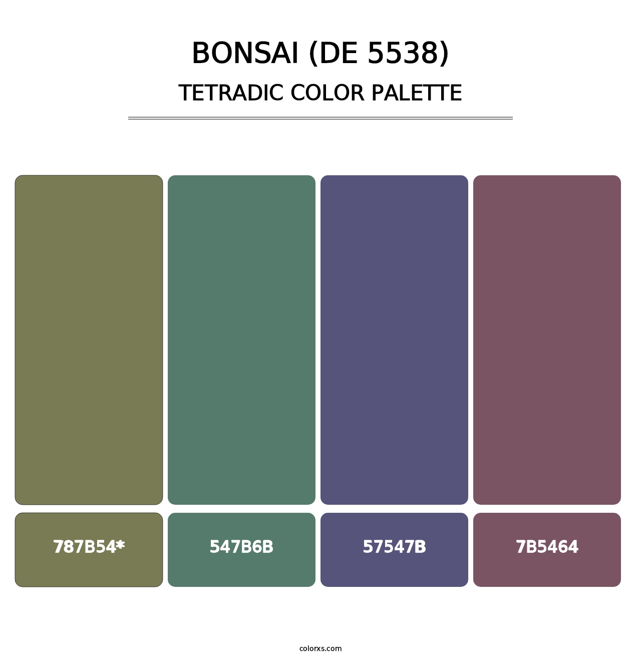 Bonsai (DE 5538) - Tetradic Color Palette