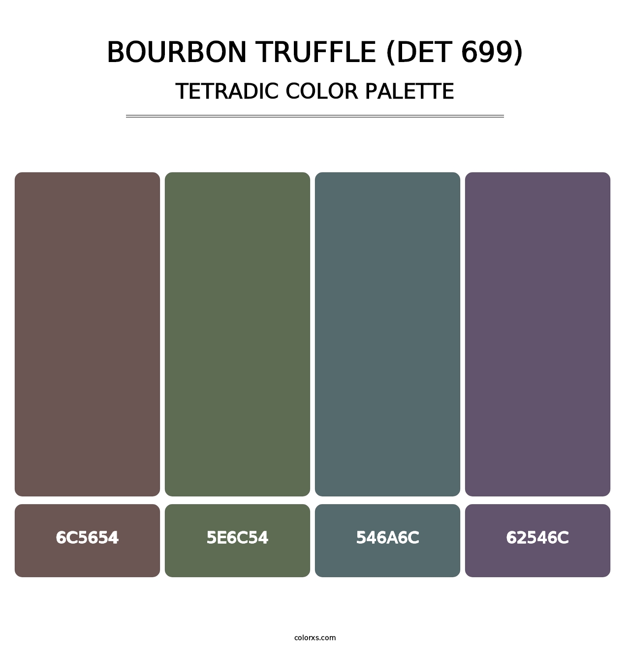 Bourbon Truffle (DET 699) - Tetradic Color Palette
