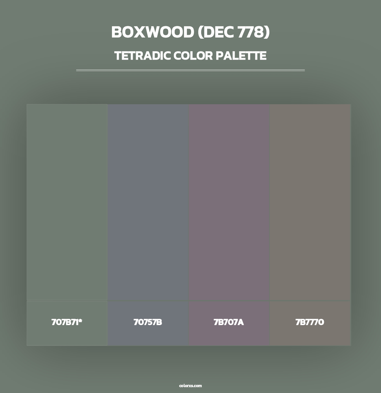 Boxwood (DEC 778) - Tetradic Color Palette