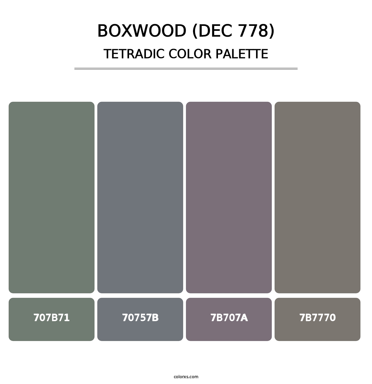 Boxwood (DEC 778) - Tetradic Color Palette