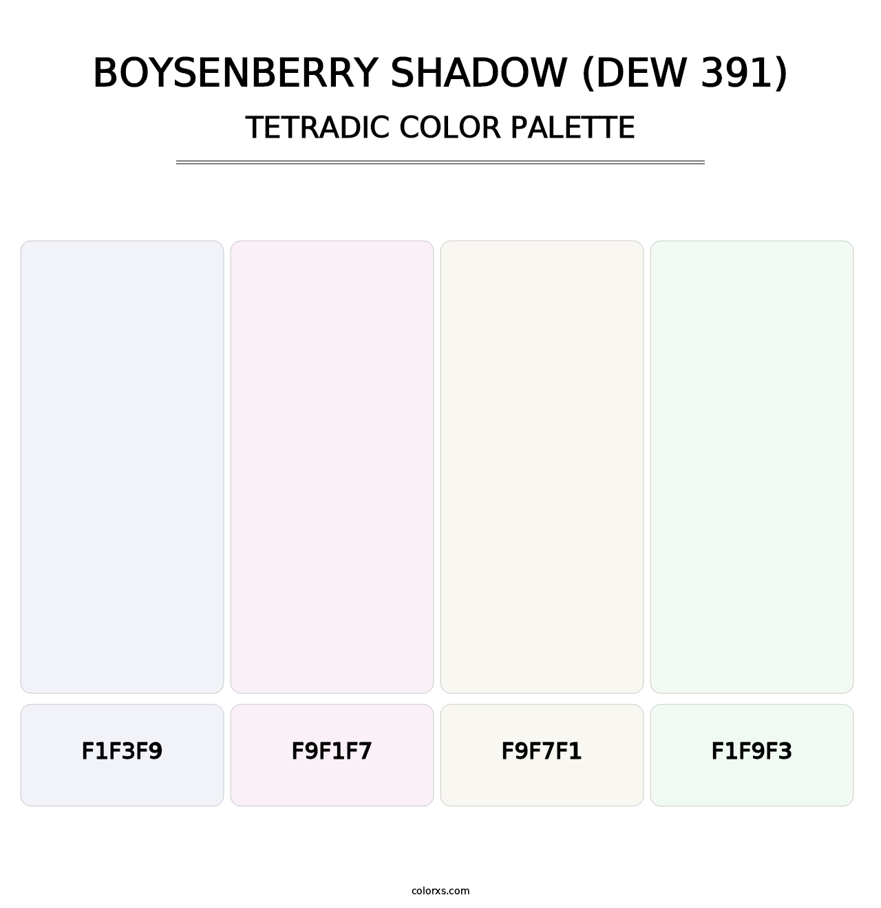 Boysenberry Shadow (DEW 391) - Tetradic Color Palette