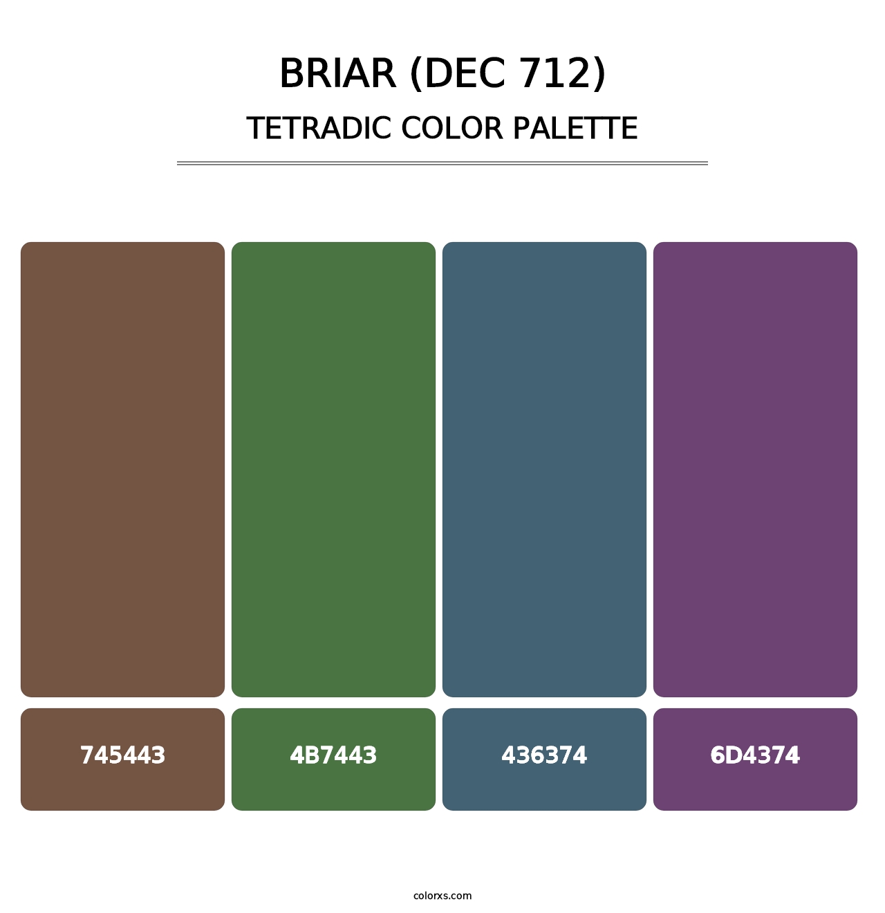 Briar (DEC 712) - Tetradic Color Palette