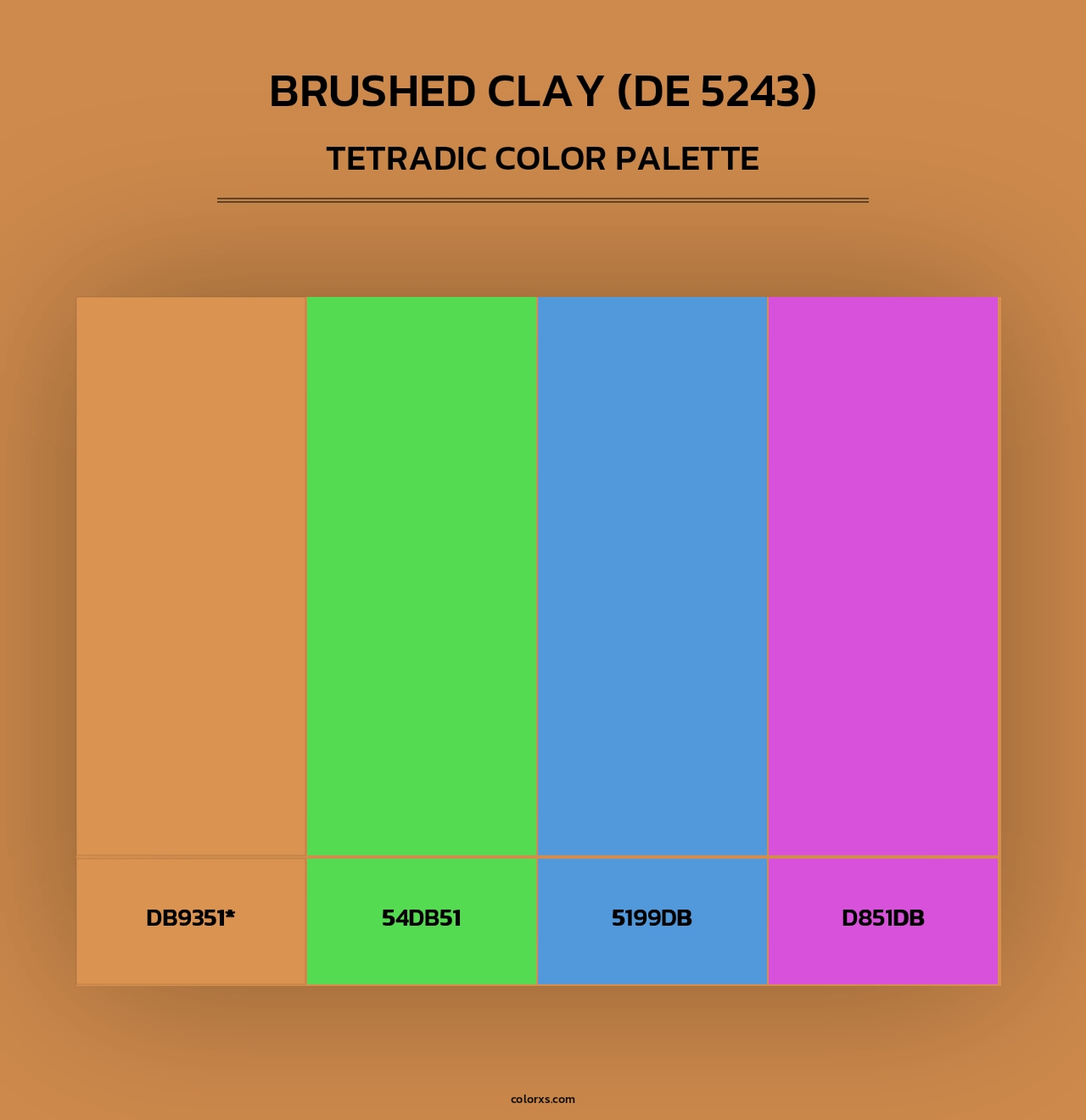 Brushed Clay (DE 5243) - Tetradic Color Palette
