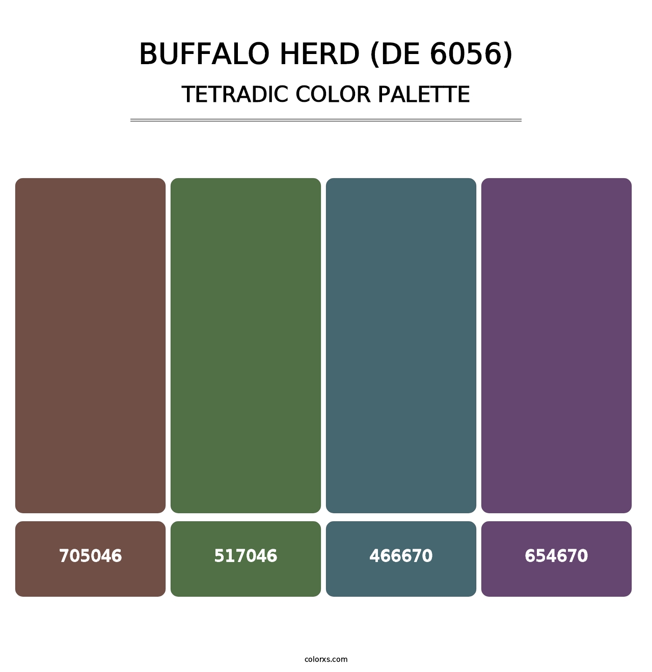 Buffalo Herd (DE 6056) - Tetradic Color Palette